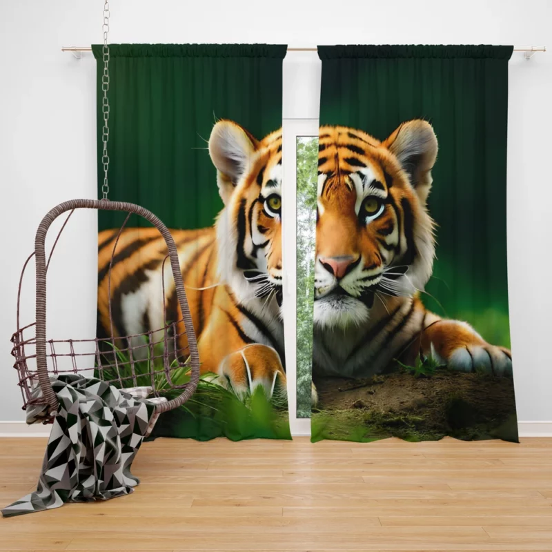 Bengal Tiger Laying in Grass Window Curtain