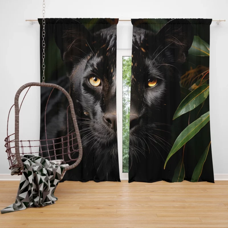 Black Panther National Geographic Photo Window Curtain