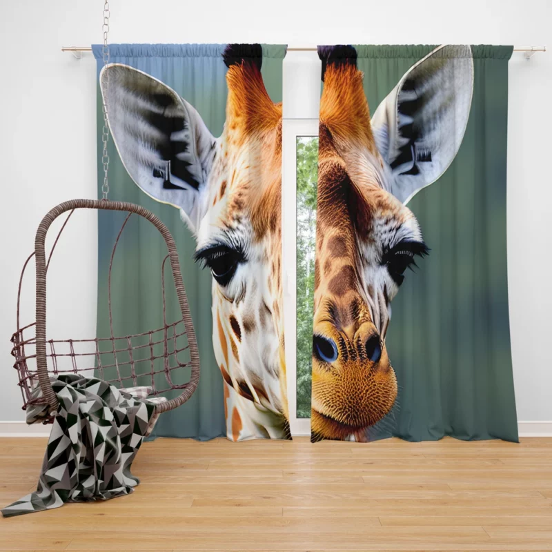 Brown and White Giraffe Window Curtain
