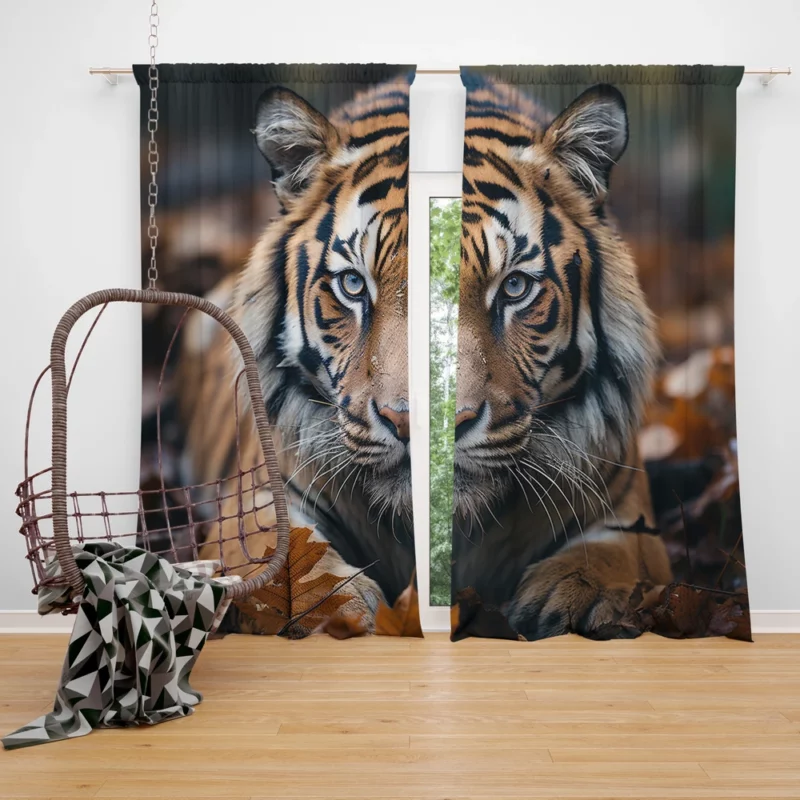 Celebrating the Majesty of Bengal Tigers Window Curtain