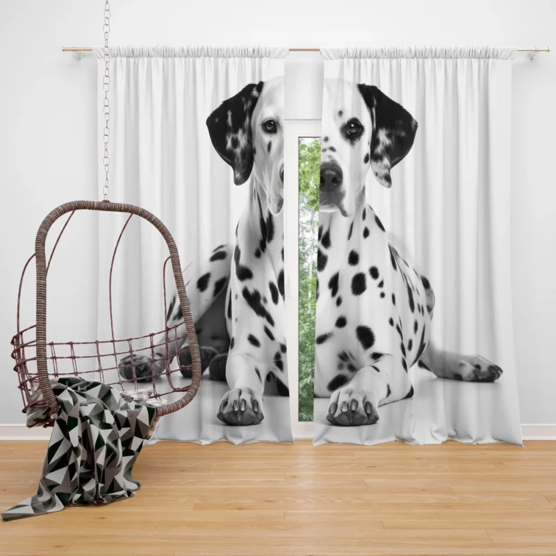 Dalmatian Dog Portrait Window Curtain