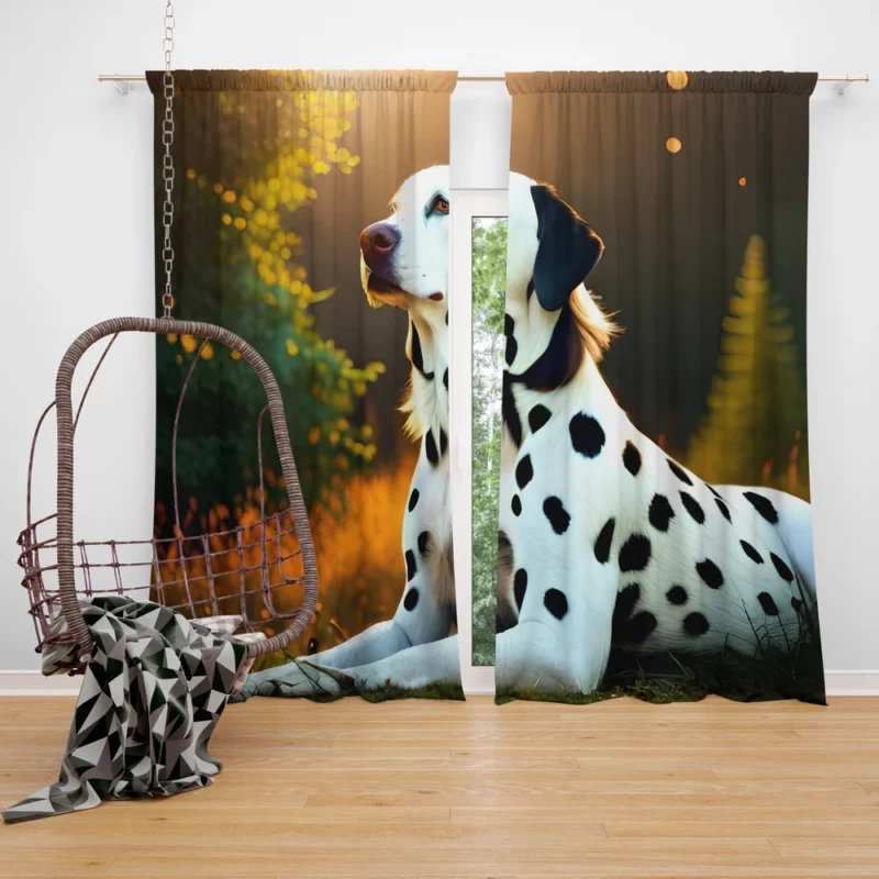 Dalmatian Dog in the Sunshine Window Curtain