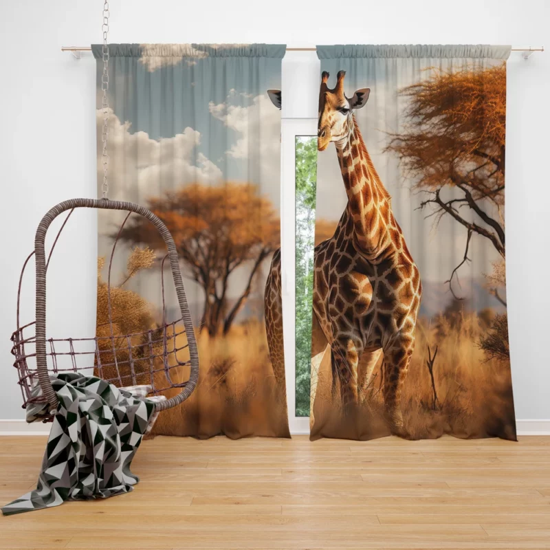 Full Body Giraffe Photography Window Curtain