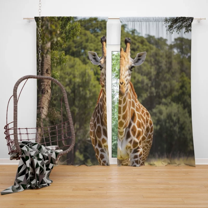 Giraffe Close-Up in Nature Window Curtain