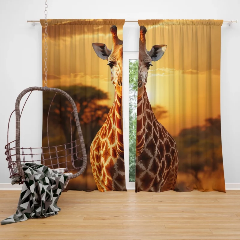 Giraffe Forages in Africs Window Curtain