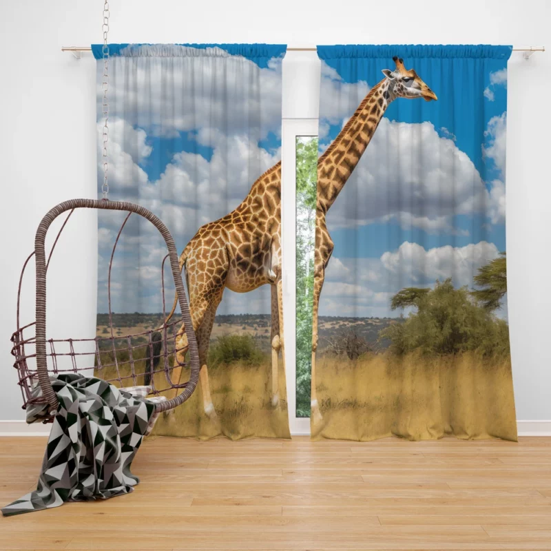 Giraffe Portrait in Africa Window Curtain
