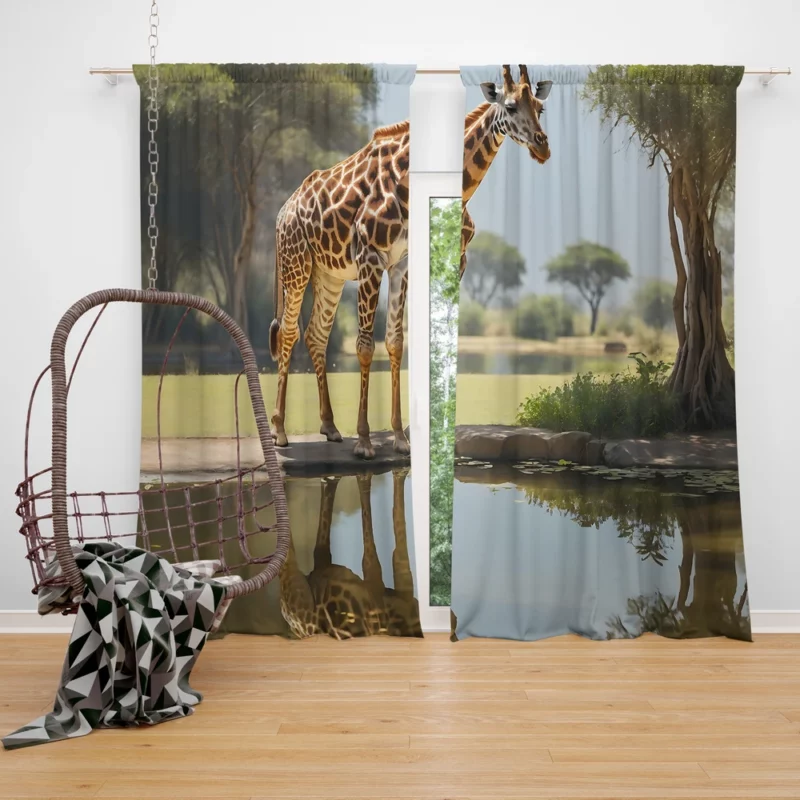 Giraffe by a Pond Window Curtain