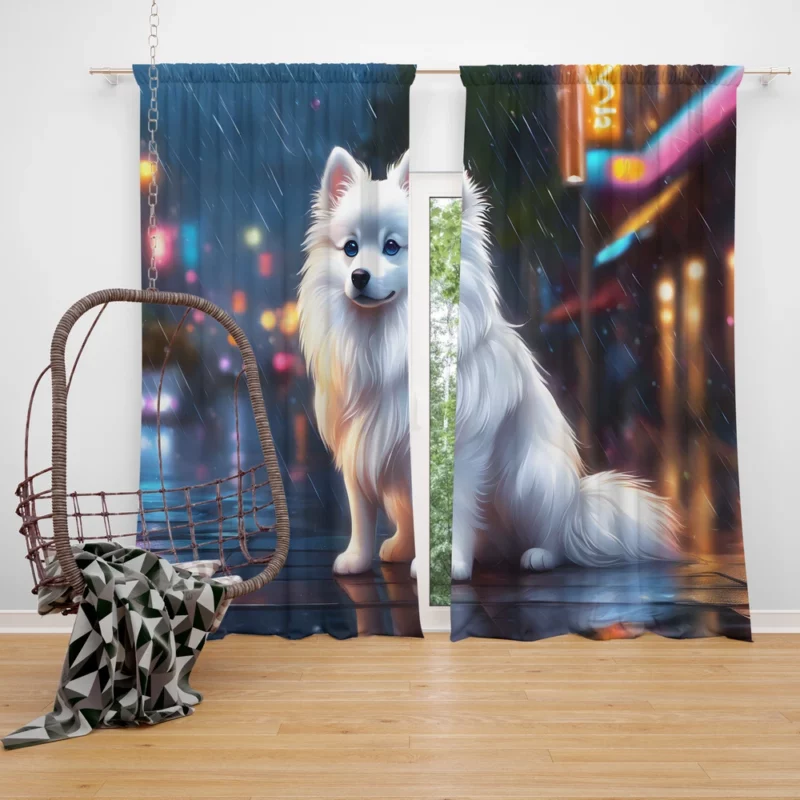Elegant American Eskimo Beauty Dog Grace Curtain
