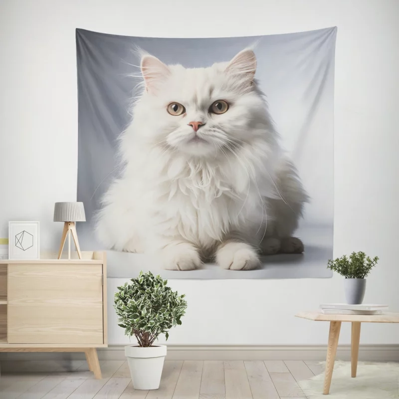 Persian Cat With Dichromatic Eyes Wall Tapestry