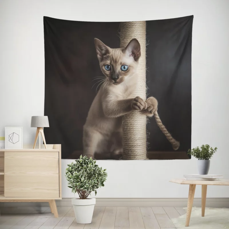 Siamese Kitten Scratching Post Wall Tapestry